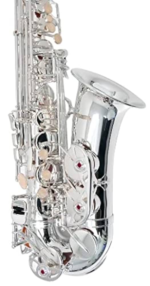 ✨極美品✨PLAYTECH アルトサックス　ゴールド　ケース付き Amazon.co.jp: アルトサックス 初心者入門セット Saxophone